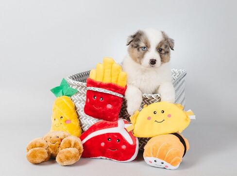 ZippyPaws - لعبة نوم نومز القطيفة التي تصدر أصواتًا للكلاب من عشاق الطعام - البطاطس المقلية in Saudi Arabia
