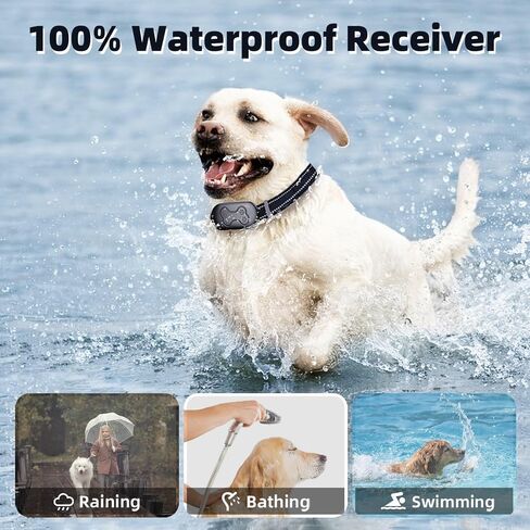 Dog Shock Collar for 2 Dogs, Dog Training Collar with Remote for Large Medium Small Dogs, Rechargeable E-Collar Waterproof Collars with 4 Training Modes Flashlight Beep Vibration and Shock - Orange in Kuwait