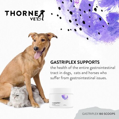 ThorneVet Gastriplex 180 Scoops in Saudi Arabia