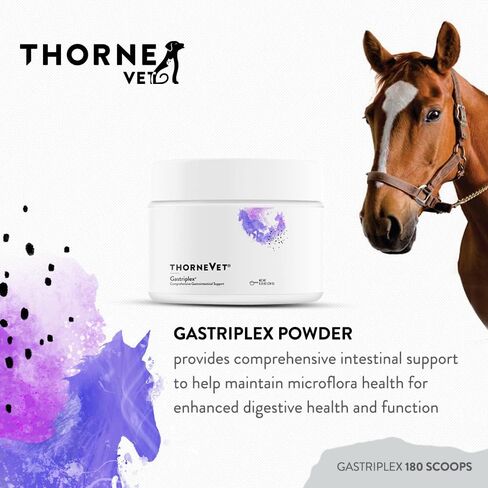 ThorneVet Gastriplex 180 Scoops in Saudi Arabia