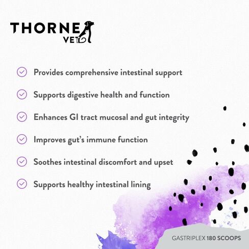 ThorneVet Gastriplex 180 Scoops in Saudi Arabia