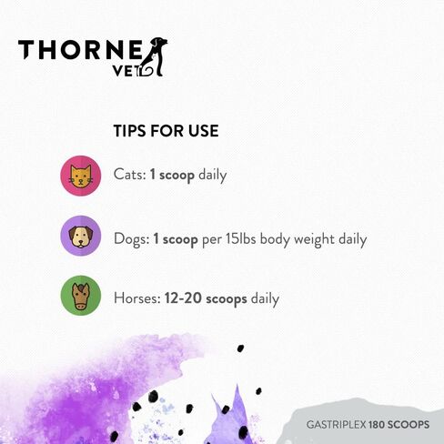 ThorneVet Gastriplex 180 Scoops in Saudi Arabia
