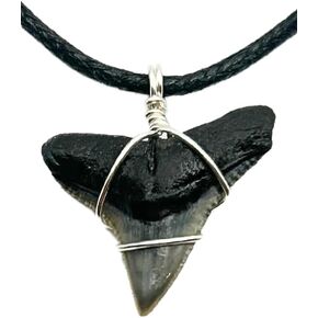 Fossilized Bull Shark Tooth Necklace for Boys on Adjustable Black Cord