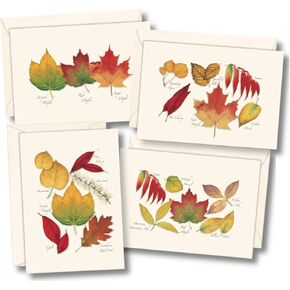 Earth Sky + Water - Fall Foliage Assortment Notecard Set - 8 Blank Cards with Envelopes (2 each of 4 styles)