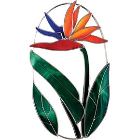 Pre-Cut Bird of Paradise Oval Kit