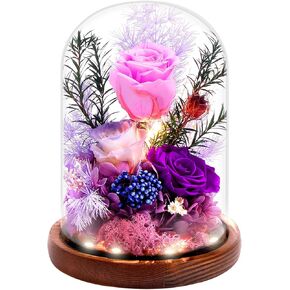 Preserved Flowers Gifts for Women Mom Wife Girlfriend Daughter Her, Real Rose in Glass Dome with Light, Everlasting Flowers for Delivery on Christmas Anniversary Valentines Engagement - Pink