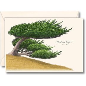 Earth Sky + Water - Monterey Cypress Notecard Set - 8 Blank Cards with Envelopes