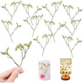 Yellow Dried Flowers Crystal Grass with Stems for Resin Crafts Embellishment, Natural Real Pressed Flowers for Resin DIY Jewellery Candle Making Phone Case Home Wedding Decor(3.14IN)