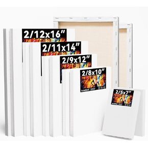 10 Pack Stretched Canvas for Painting, Multi Size Paint Canvases Set 12x16/11x14/9 x12/8x10/5x7(2 of Each), Artist Anti-Seep Blank Primed Canvas for Oil, Acrylic, Pouring Paint.