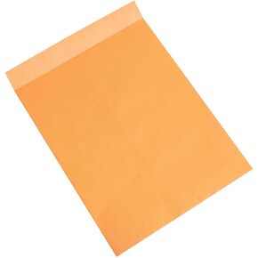 Aviditi Jumbo Envelopes, 18" x 23", Kraft, Large Envelopes For Protecting, Mailing and Shipping Oversized Printed Items, Case of 100
