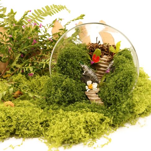 Dark Green Green Moss for Crafts， Artificial Moss, Decorative Moss for Glass Vase Filler. Wedding/Christmas/Fairy Party/Indoor Planters/DIY Rainforest Model/Table Centerpieces .(2.1OZ) in Saudi Arabia