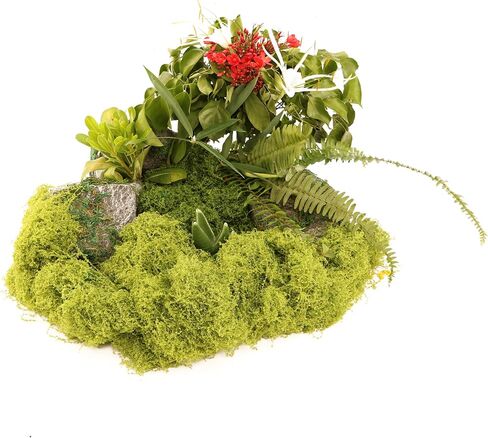 Dark Green Green Moss for Crafts， Artificial Moss, Decorative Moss for Glass Vase Filler. Wedding/Christmas/Fairy Party/Indoor Planters/DIY Rainforest Model/Table Centerpieces .(2.1OZ) in Saudi Arabia