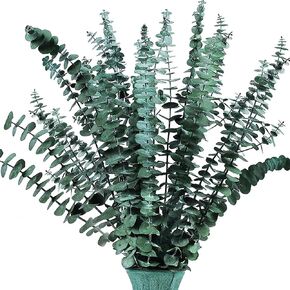 40 Pcs Mixed Real Dried Eucalyptus Stems, 100% Natural Preserved Eucalyptus Leaves with Lavender, Greenery for Hanging Shower, Decor