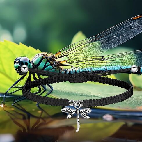 HOLLP Dragonfly Inspirational Jewelry Best Friend Gift Dragonfly Braided Rope for Dragonfly Lover in Saudi Arabia