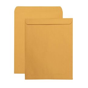 Quality Park Catalog Mailing Envelopes, 11-1/2 x 14-1/2 Envelopes, Gummed, Heavy 28 lb. Kraft Paper, for Mailing, Organizing and Storage, 250 per Box (QUA41865), Light Brown