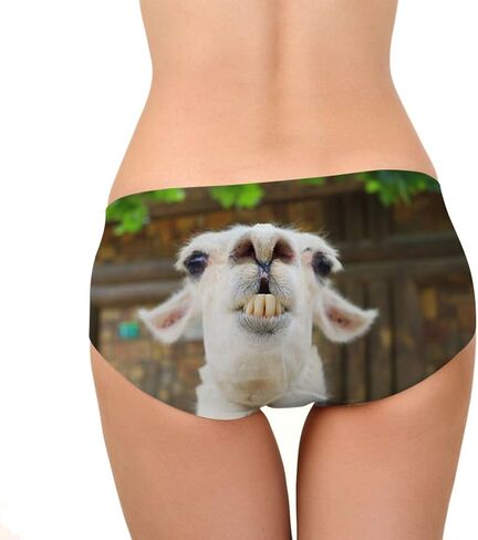 Amzbeauty Funny Animal Womens Underwear Sexy Naughty Briefs Gift for Bachelorette Party in Kuwait