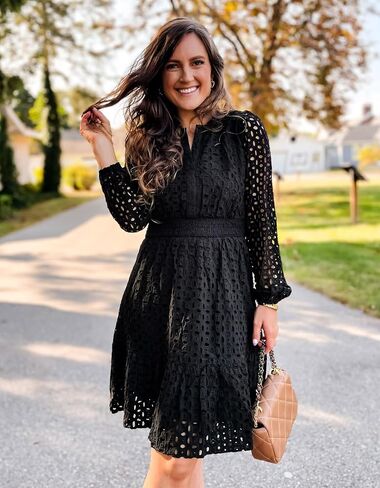 ZESICA Women's 2024 Long Sleeve Mini Dress Fall V Neck Hollow Out Eyelet Embroidery Ruffle A Line Swing Short Dresses in Saudi Arabia