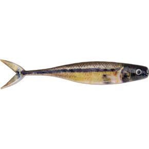 Berkley PowerBait The Champ Minnow - PBTCM3.4-HDFHM