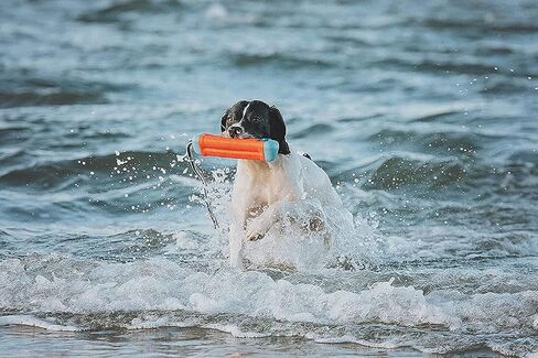الوفير البرمائية in Saudi Arabia