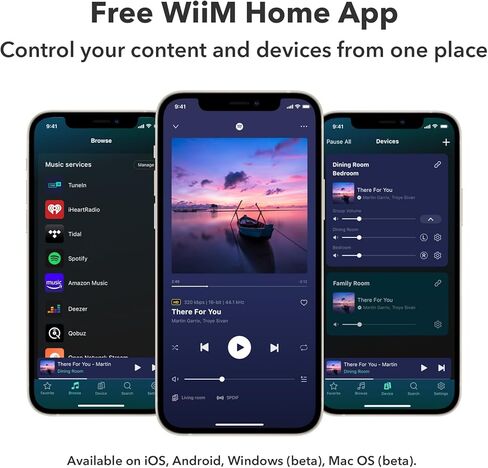 WiiM Amp: مضخم دفق متعدد الغرف مع AirPlay 2 وChromecast وHDMI والتحكم الصوتي | قم ببث Spotify وAmazon Music وTidal والمزيد | جهاز التحكم عن بعد متضمن | فضاء رمادي in Kuwait