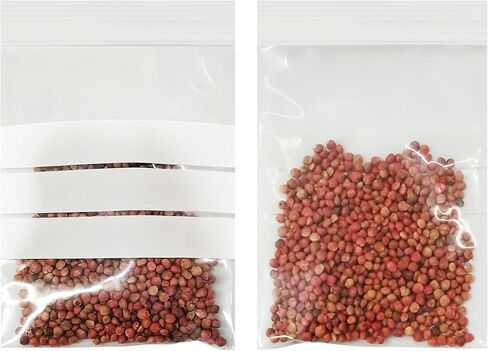 PABCK Clear Seed Envelopes Resealable (2.76x3.94 inch) Seeds Packets Small Plastic Bags for Spice Jewelry Parts Packaging with White Writable Block Self Seal Coins Envelope Garden Flower Organizer in Saudi Arabia