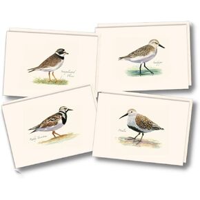 Earth Sky + Water - Shorebird Assortment II Notecard Set - 8 Blank Cards with Envelopes (2 each of 4 styles)