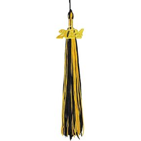 HEPNA Graduation Tassels Royal Blue and Gold 2024 Date,Honor Tassels for Graduation Photography