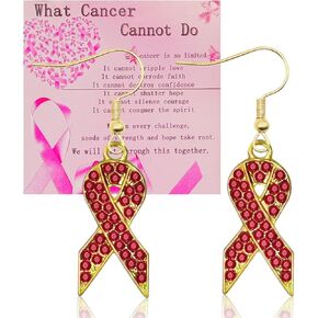 Breast Cancer Awareness Earrings CZ Pink Ribbon Earrings for Women Breast Cancer Survivor Support Jewelry Gifts