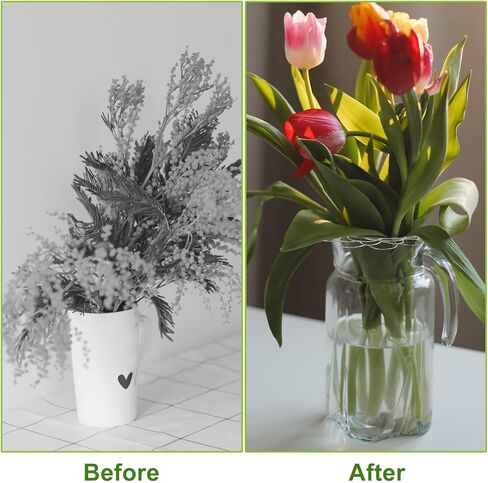 4 قطع من حامل ترتيب الزهور و8 قطع من مشابك التثبيت، أداة ضفدع لشبكة الزهور، أداة ترتيب الأسلاك بغطاء إدراج الأزهار للمزهرية وباقات سيقان الزهور ومستلزمات ترتيب النباتات in Kuwait