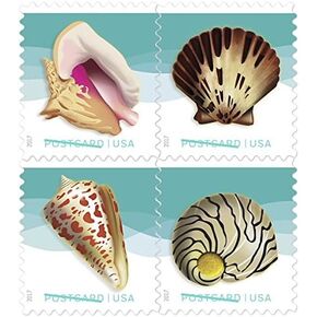 USPS Seashells Postcard Stamps - US Postage Card Stamps (2 Sheets of 20 Stamps)