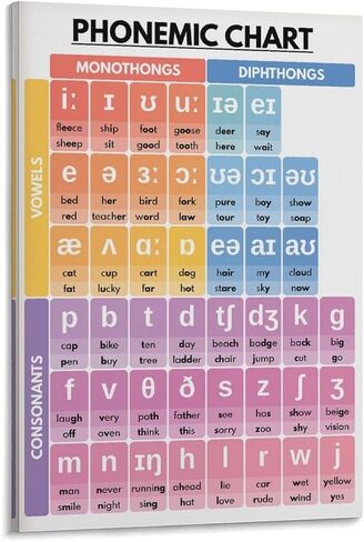 مخطط التعاقدات، اللغة الإنجليزية، مخطط القواعد، ملصقات تعليمية للفصل الدراسي، ملصق فني من القماش وصورة فنية جدارية مطبوعة على ملصقات ديكور غرفة النوم العائلية الحديثة 12 × 18 بوصة (30 × 45 سم) in Saudi Arabia