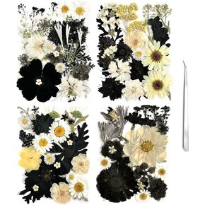 98Pcs Large Pressed Flowers for Resin Real Bulk Dried Flowers Dry Flowers Leaves for Resin Mold Scrapbooking DIY Art Crafts, Epoxy Resin Jewelry Molds, Candle, Soap Making (Large Flowers)