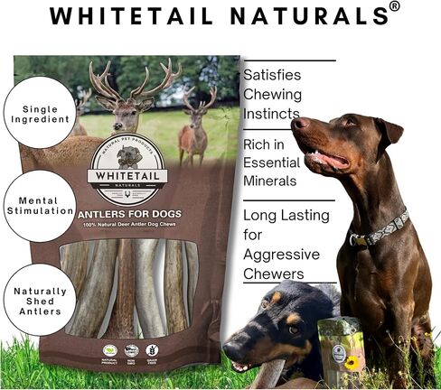 WhiteTail Naturals - قرون الأيائل المتميزة للكلاب - (3 عبوات صغيرة) - طبيعية بالكامل، عظام مضغ للكلاب - تتساقط بشكل طبيعي، لم يتم الإساءة إلى الحيوانات في تصنيعها، مضغ قرن الوعل in Kuwait