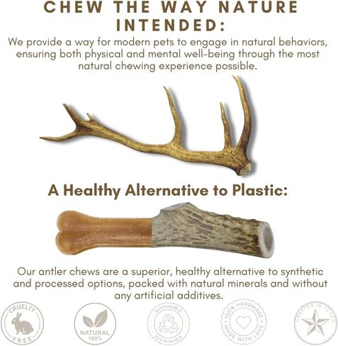 WhiteTail Naturals - قرون الأيائل المتميزة للكلاب - (3 عبوات صغيرة) - طبيعية بالكامل، عظام مضغ للكلاب - تتساقط بشكل طبيعي، لم يتم الإساءة إلى الحيوانات في تصنيعها، مضغ قرن الوعل in Kuwait