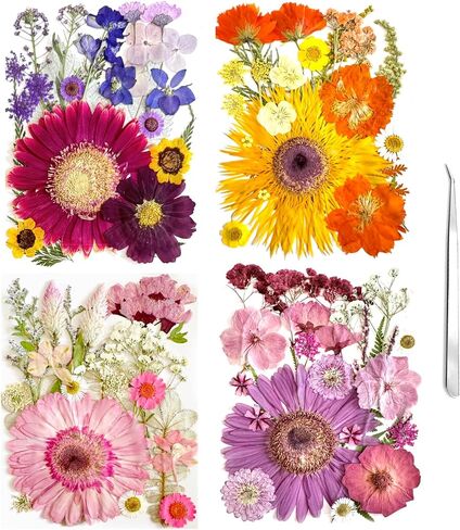 98Pcs Large Pressed Flowers for Resin Real Bulk Dried Flowers Dry Flowers Leaves for Resin Mold Scrapbooking DIY Art Crafts, Epoxy Resin Jewelry Molds, Candle, Soap Making (Large Flowers) in Saudi Arabia
