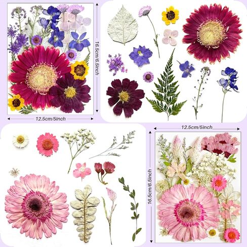 98Pcs Large Pressed Flowers for Resin Real Bulk Dried Flowers Dry Flowers Leaves for Resin Mold Scrapbooking DIY Art Crafts, Epoxy Resin Jewelry Molds, Candle, Soap Making (Large Flowers) in Saudi Arabia