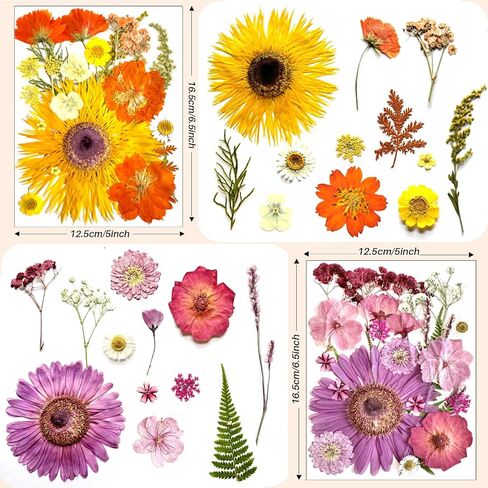 98Pcs Large Pressed Flowers for Resin Real Bulk Dried Flowers Dry Flowers Leaves for Resin Mold Scrapbooking DIY Art Crafts, Epoxy Resin Jewelry Molds, Candle, Soap Making (Large Flowers) in Saudi Arabia