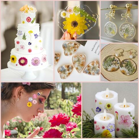 98Pcs Large Pressed Flowers for Resin Real Bulk Dried Flowers Dry Flowers Leaves for Resin Mold Scrapbooking DIY Art Crafts, Epoxy Resin Jewelry Molds, Candle, Soap Making (Large Flowers) in Saudi Arabia