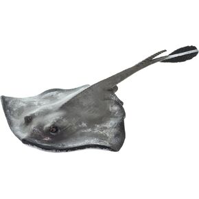Safari Ltd. Common Stingray Figurine - Lifelike 7" Model Figure - Educational Toy for Boys, Girls, and Kids Ages 3+