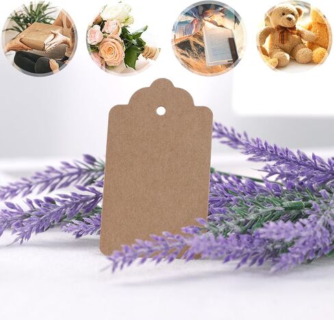 20 قطعة من بطاقات الهدايا البنية من SallyFashion، مقاس 1.6 × 2.8 بوصة، علامات ورق كرافت مع سلسلة علامات تعليق فارغة للهدايا والفنون والحرف اليدوية وحفلات الزفاف وأعياد الميلاد in Kuwait