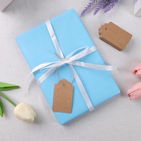 20 قطعة من بطاقات الهدايا البنية من SallyFashion، مقاس 1.6 × 2.8 بوصة، علامات ورق كرافت مع سلسلة علامات تعليق فارغة للهدايا والفنون والحرف اليدوية وحفلات الزفاف وأعياد الميلاد in Kuwait