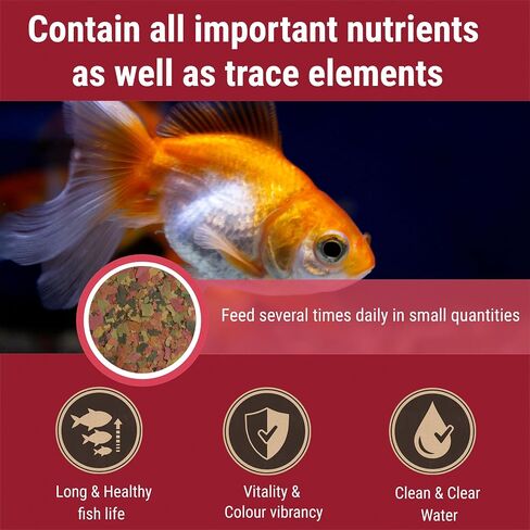 Tetra 77025 TetraFin Goldfish Flakes, 0.42 Ounce in Saudi Arabia