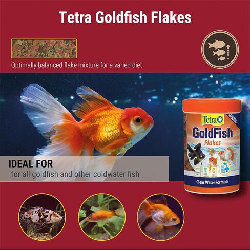 Tetra 77025 TetraFin Goldfish Flakes, 0.42 Ounce in Saudi Arabia