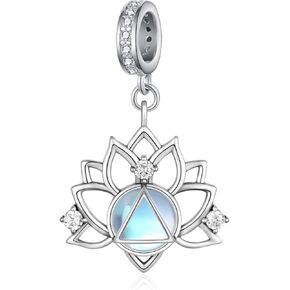 Sobriety Gifts for Women 925 Sterling Silver Alcoholics Anonymous Charms for Bracelet AA Recovery Symbol Alcoholics Anonymous Gifts for Women