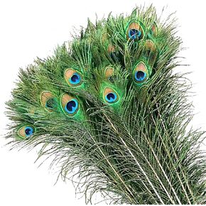 MWOOT 50Pcs Peacock Feathers, Green Peacock Eye Feathers for DIY Crafts Art, Peacock Tail Feathers for Carnival Revelry Masquerade Costume Wedding Holiday Party Decoration (28-32CM)