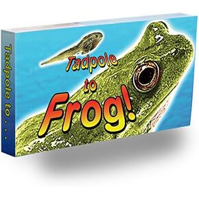 Fliptomania Tadpole to Frog Animation Flipbook
