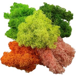 XGNG 100g Preserved Moss OZ Pink Reindeer Moss Plants, Moss Decor, Green Moss for Crafts, Moss for Potted Plants, Craft Decorative Moss Decor, Dried Moss