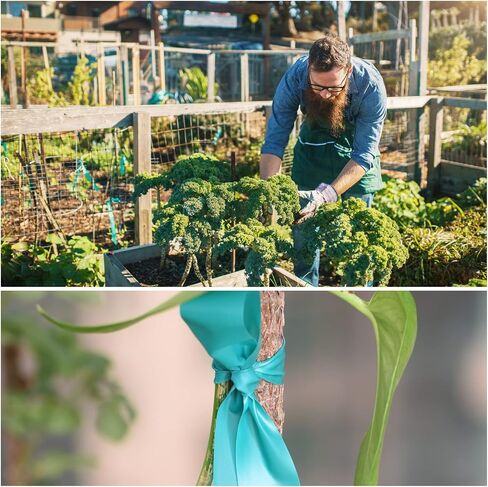 Stretch Tie Tape, 1" Wide 200FT Reusable Garden Plant Ties Green Tapes for Plants, Thick Garden Vinyl Stake Ribbon for Branches Flowers Tomatoes Indoor Outdoor Greenhouse in Kuwait