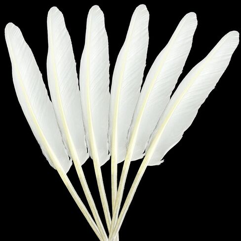 LWINGFLYER 25pcs 10"-12" Long Goose Feathers Quill for Pen Craft Festival Halloween Hats Costumes Decorations (Natural) in Kuwait
