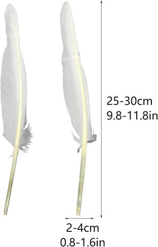 LWINGFLYER 25pcs 10"-12" Long Goose Feathers Quill for Pen Craft Festival Halloween Hats Costumes Decorations (Natural) in Kuwait